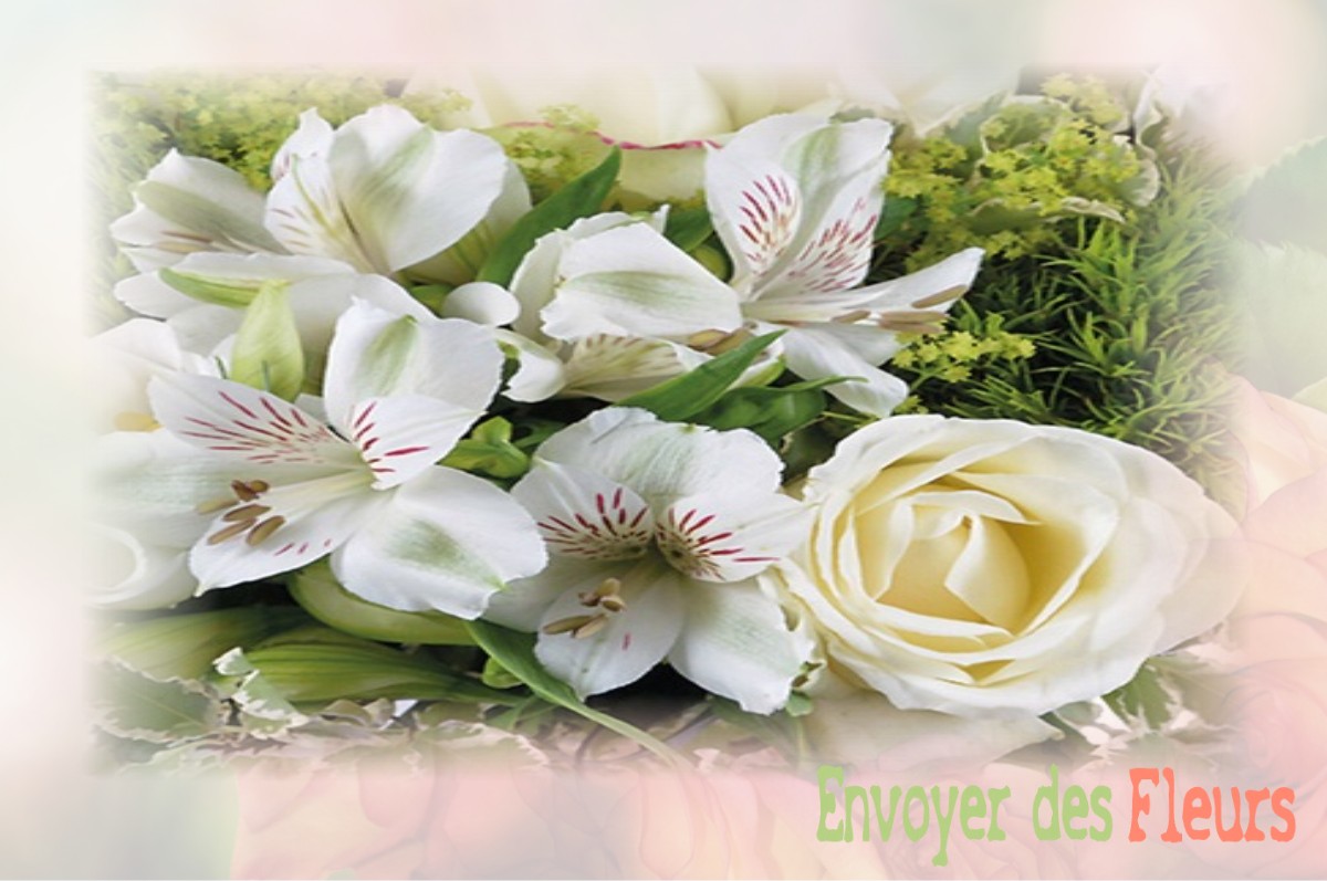 envoyer des fleurs à à VILLEFRANCHE-DE-CONFLENT